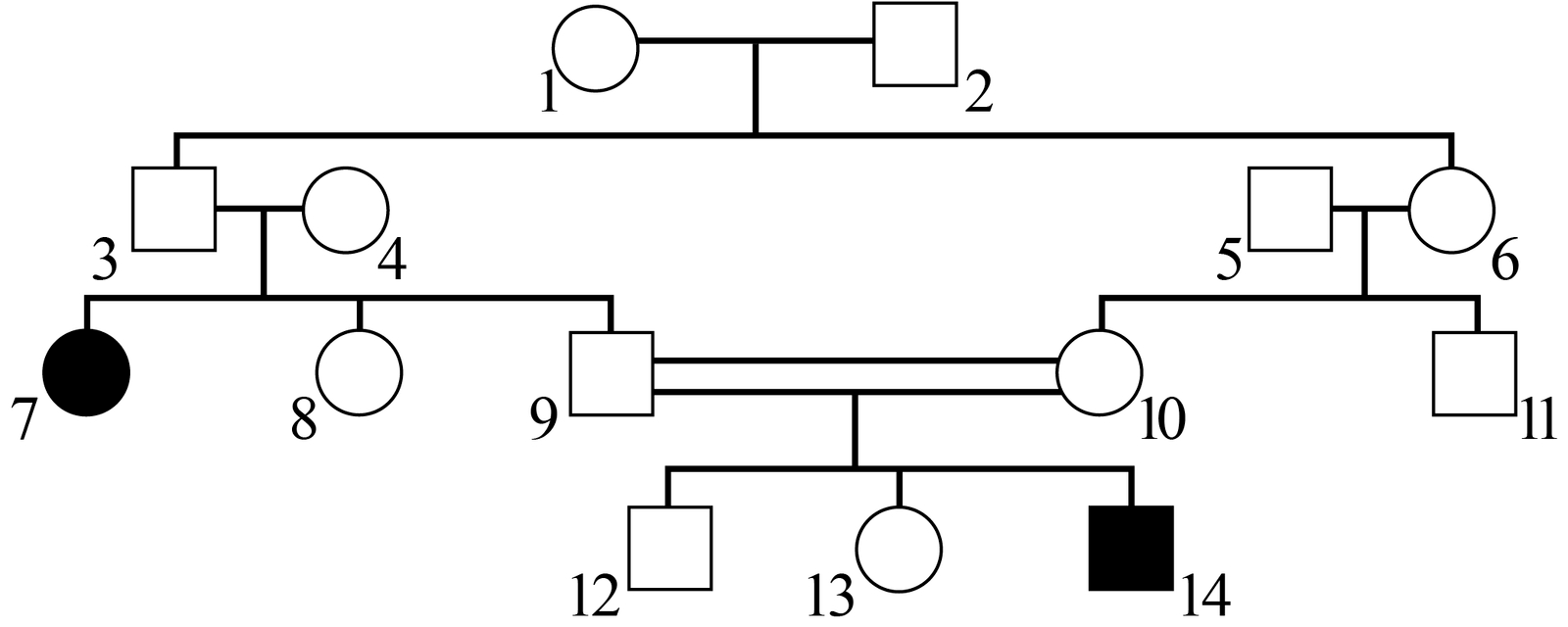 Solved The given image shows the pedigree of a family with | Chegg.com