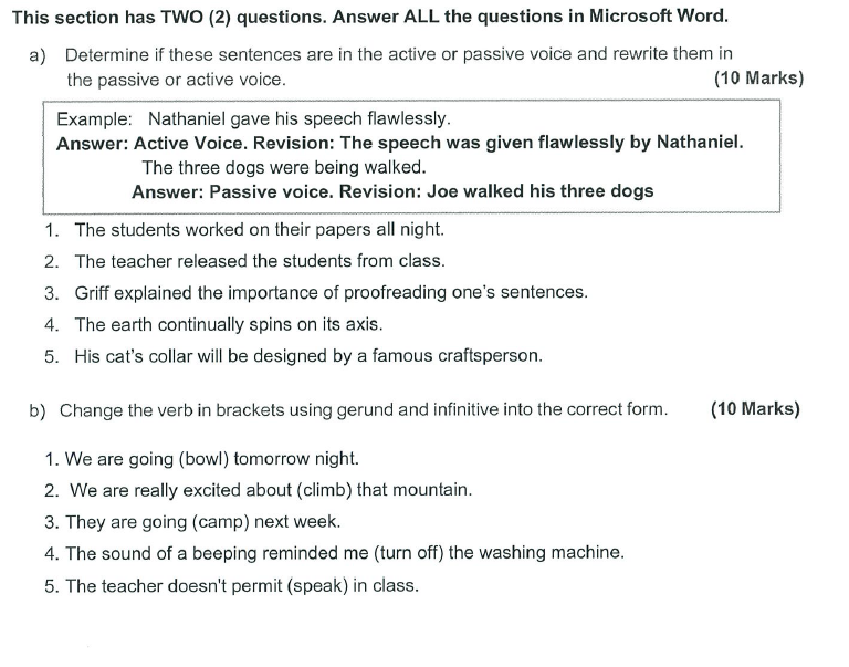 What is the meaning of someone's voice is like a live wire, buzzy.? -  Question about English (US)