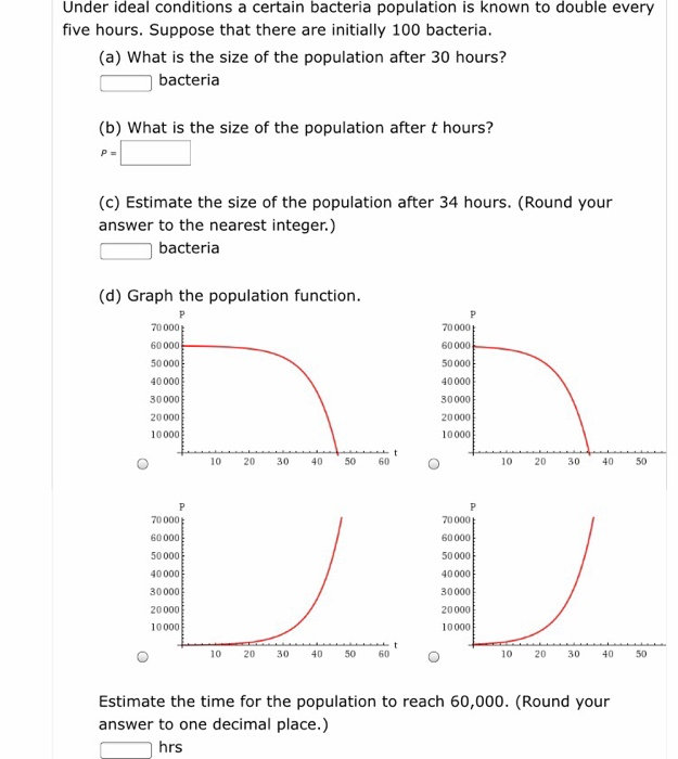 What Is The Size Of The Population After T Hours