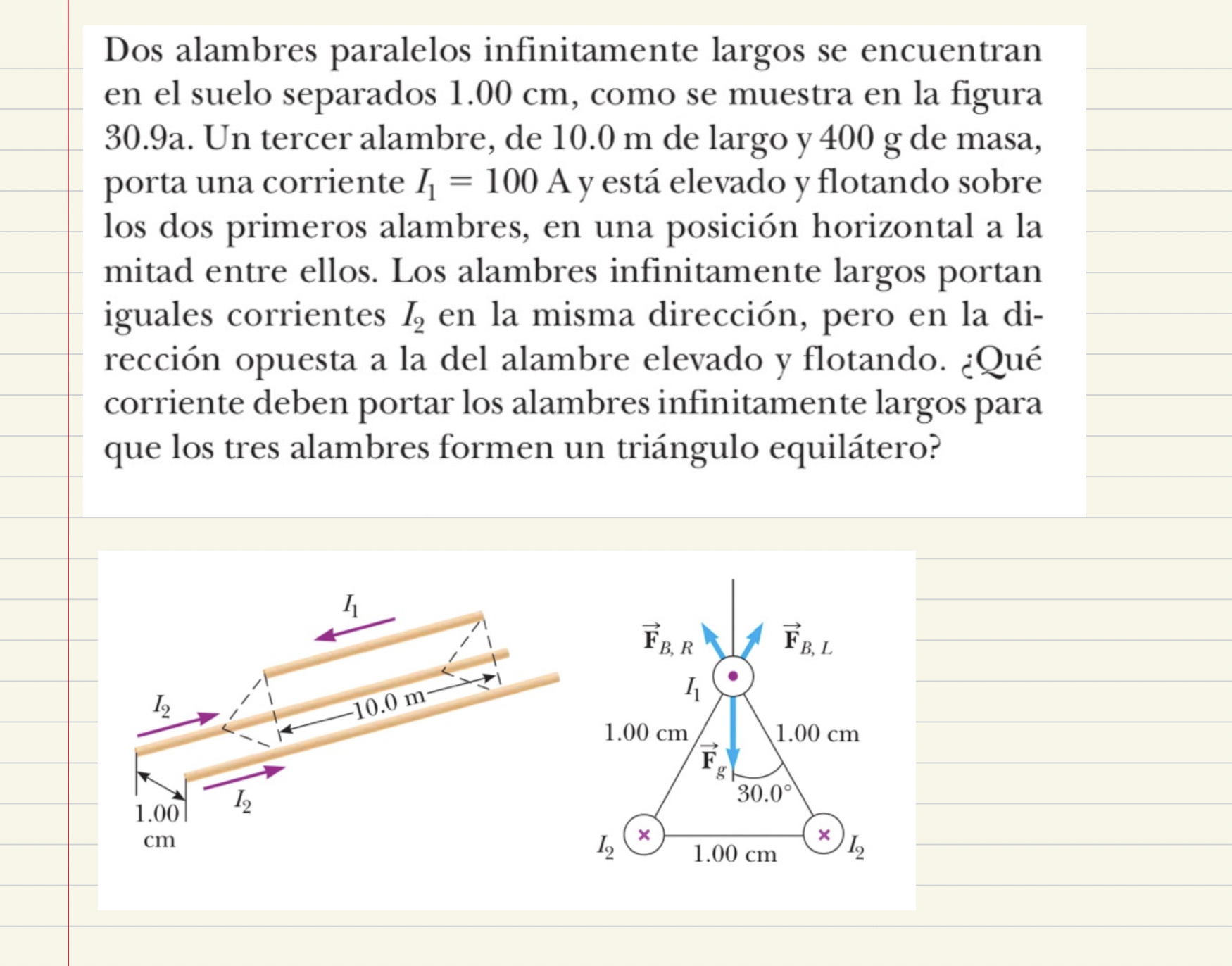 Dos alambres paralelos infinitamente largos se encuentran en el suelo separados \( 1.00 \mathrm{~cm} \), como se muestra en l