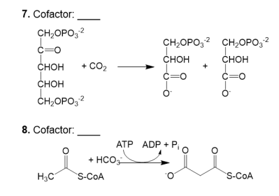 Solved Identify the cofactor that is utilized in each | Chegg.com