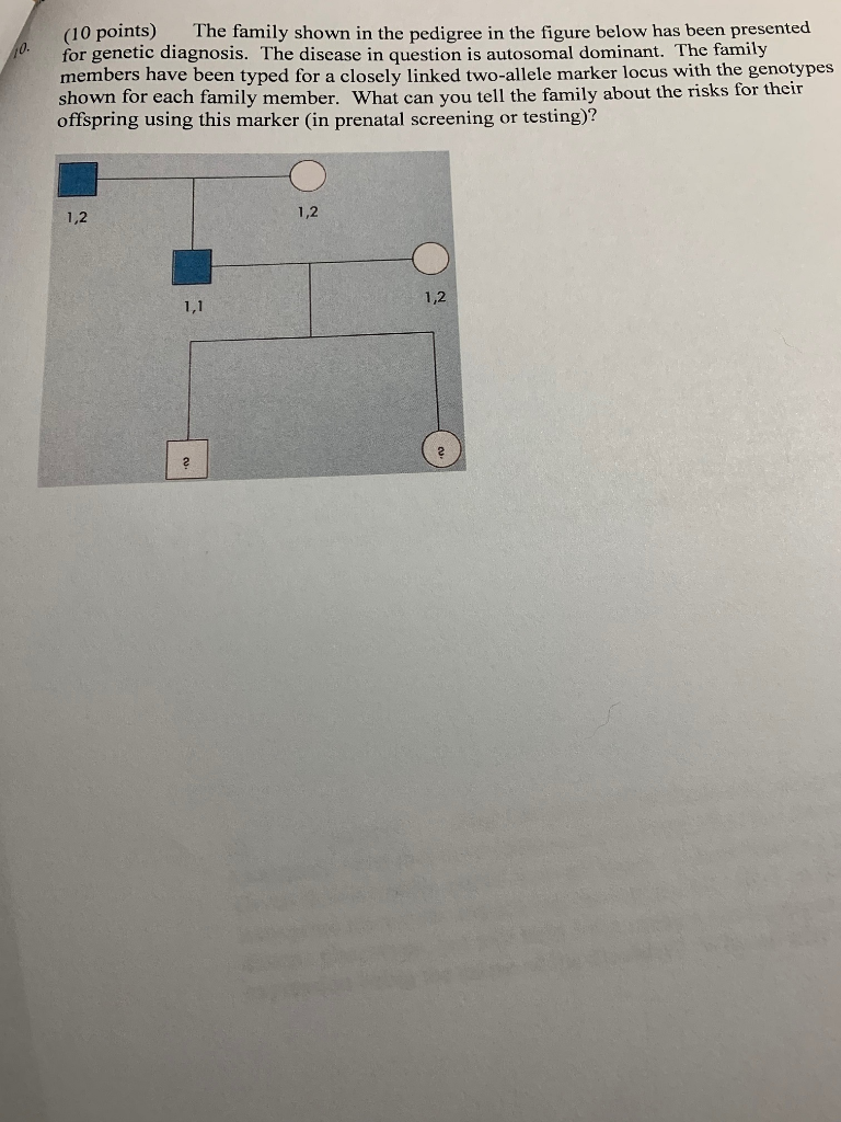 Solved (10 points) The family shown in the pedigree in the | Chegg.com