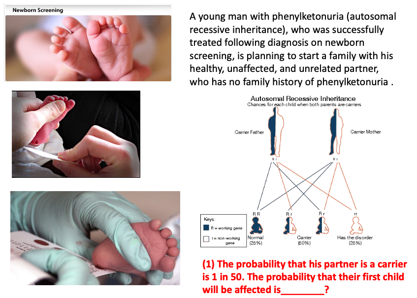 Solved Newborn Screening A young man with phenylketonuria