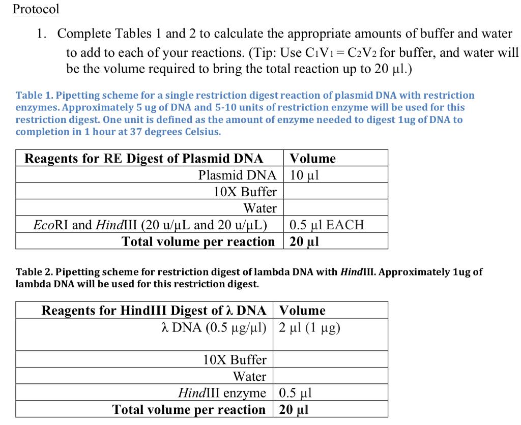 Solved Protocol 1. Complete Tables 1 and 2 to calculate the | Chegg.com