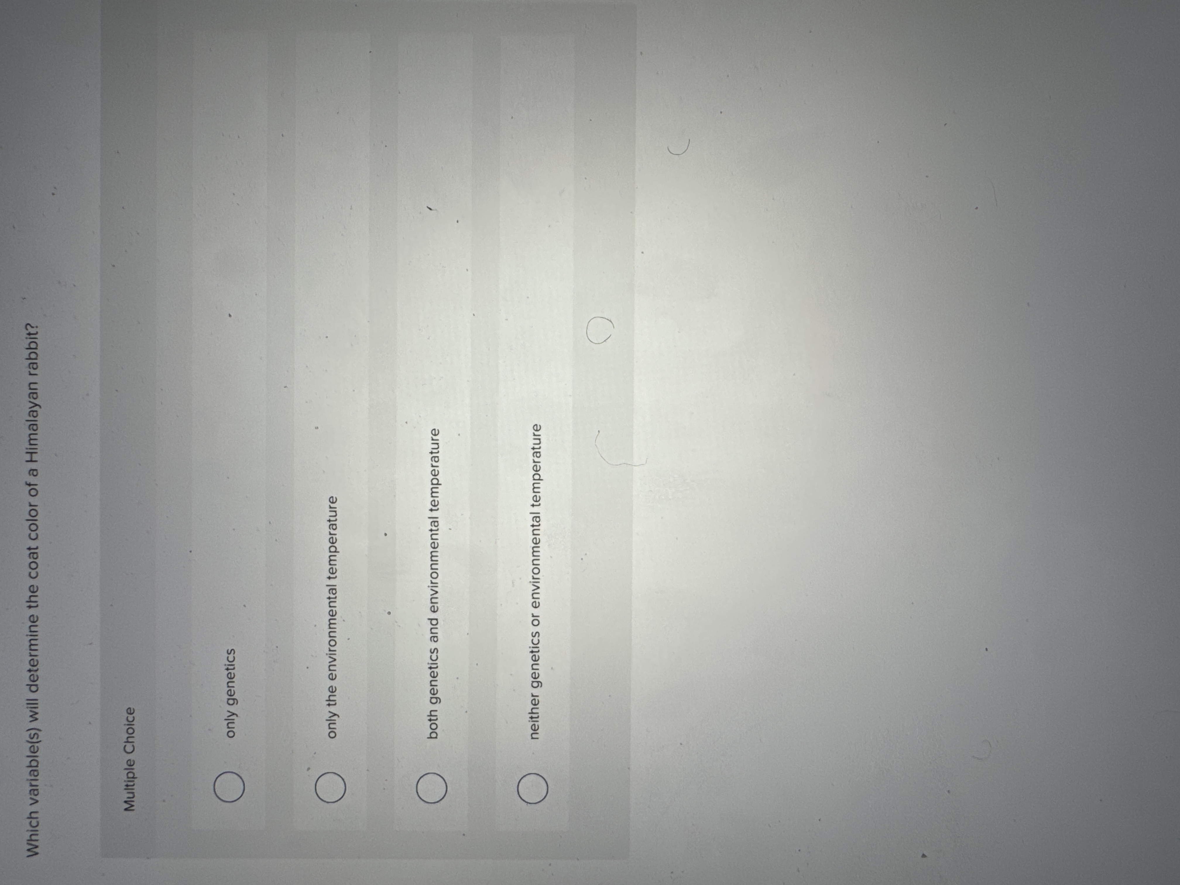 Solved Which variable(s) ﻿will determine the coat color of a | Chegg.com