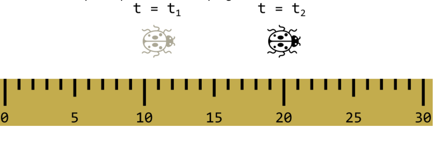Solved A ladybug is walking next to a ruler as shown below. | Chegg.com