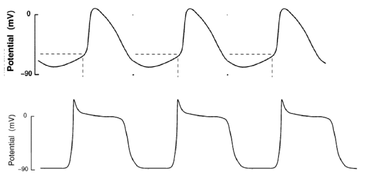 Solved No detailed info needed. 1. Below are graphs of | Chegg.com