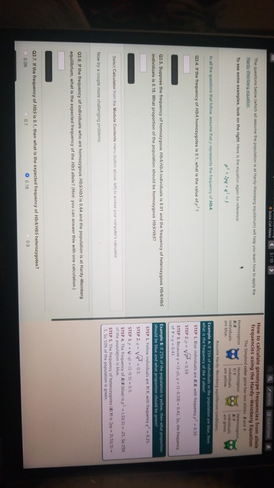 Solved How to calculate genotype frequencies from allele The | Chegg.com