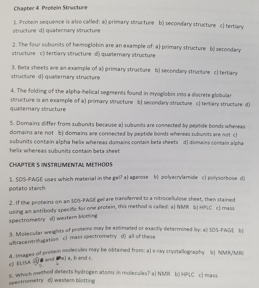 Solved Chapter 4 Protein Structure 1. Protein sequence is | Chegg.com