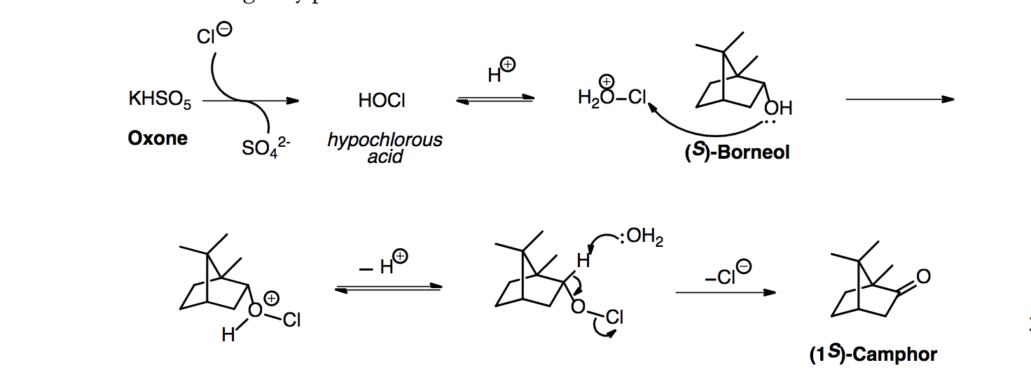 Solved This experiment is the Green Oxidation of (S)Borneol