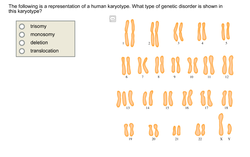 What Type Of Genetic Disorder Is Shown In This Karyotype