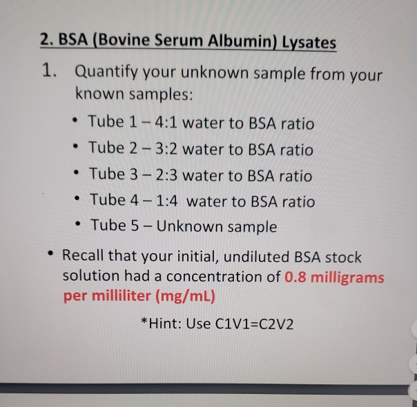 2. BSA (Bovine Serum Albumin) Lysates 1. Quantify | Chegg.com