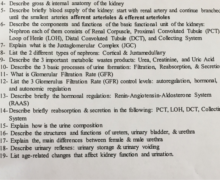 solved-4-describe-gross-internal-anatomy-of-the-kidney-5-chegg