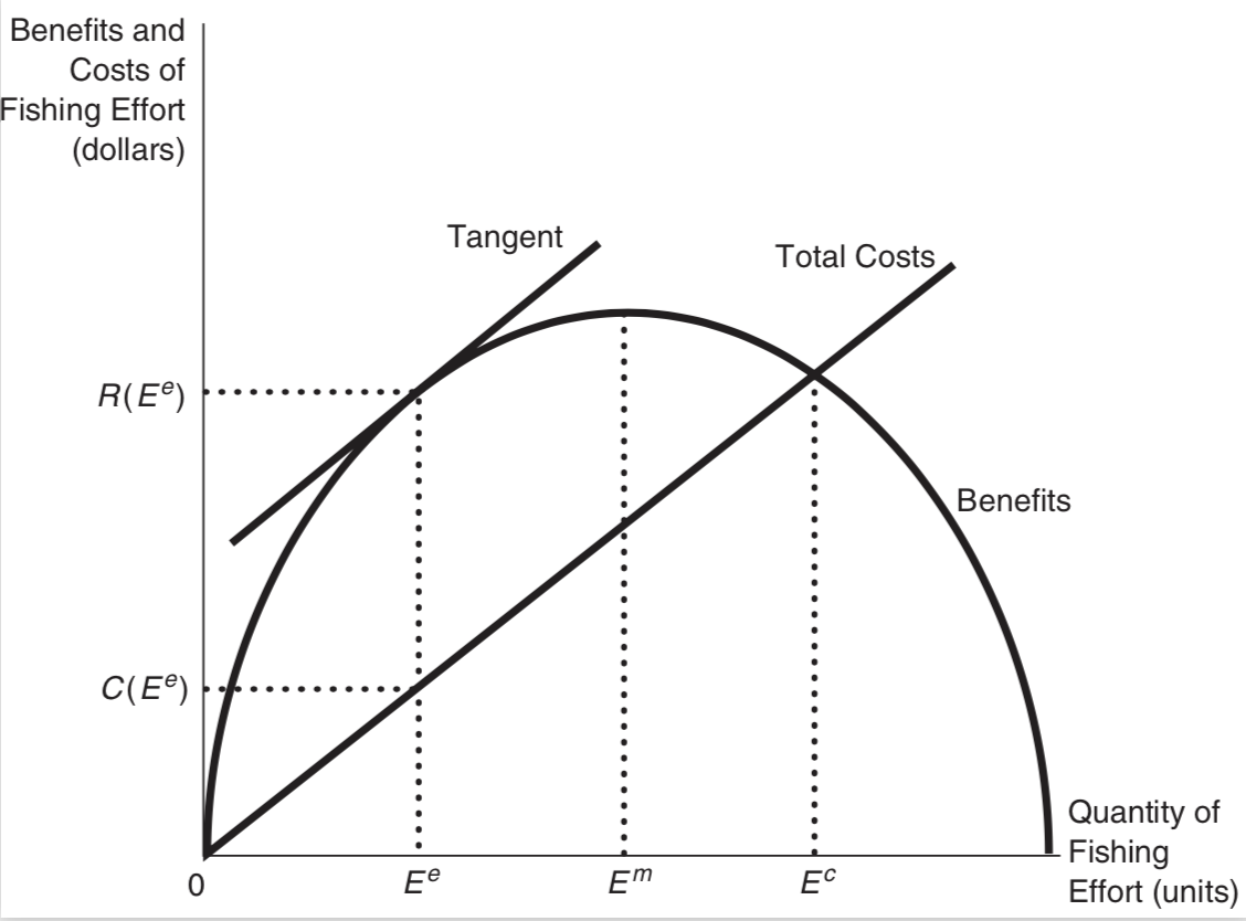 Look at the diagram; note that the 