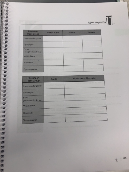 Solved Summarize the characteristics of the plant groups | Chegg.com