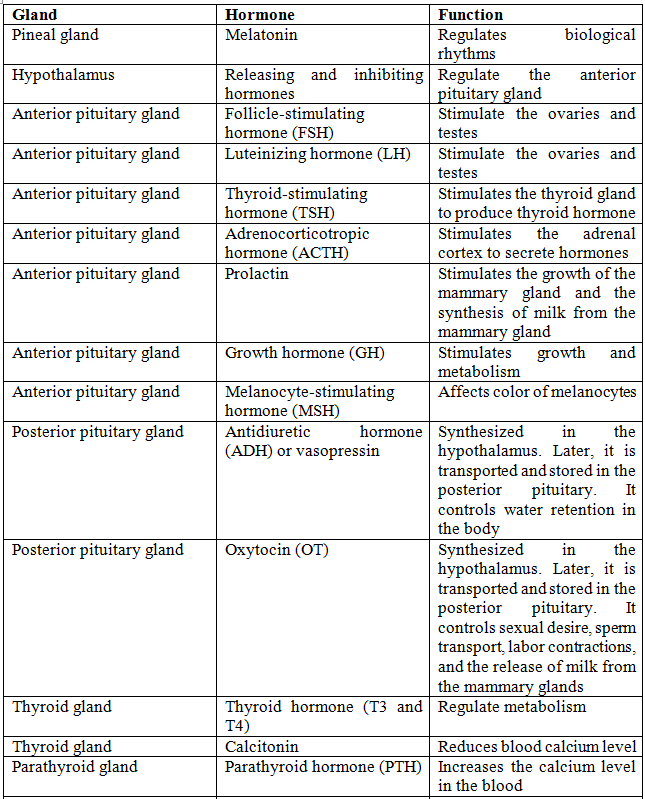 Hormones List And Functions