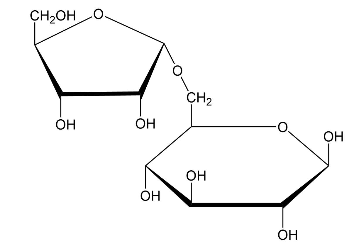 Solved In the diagram of a disaccharide provide a precise | Chegg.com