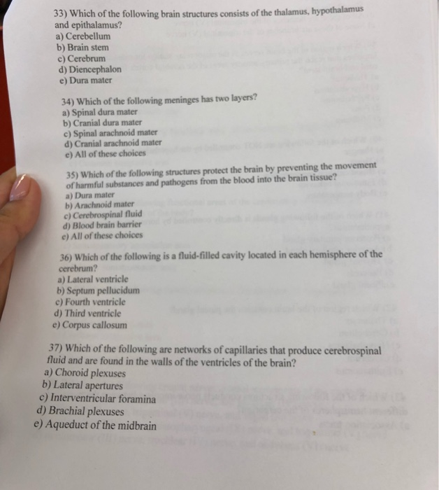 Solved 33) Which of the following brain structures consists | Chegg.com