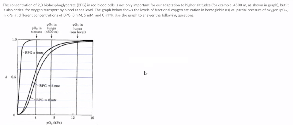 2 3 diphosphoglycerate concentration