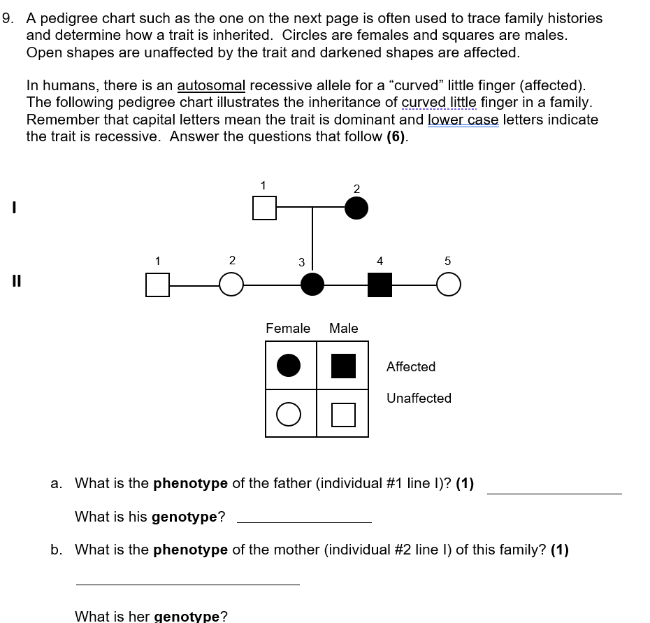 Solved v A pedigree chart such as the one on the next page