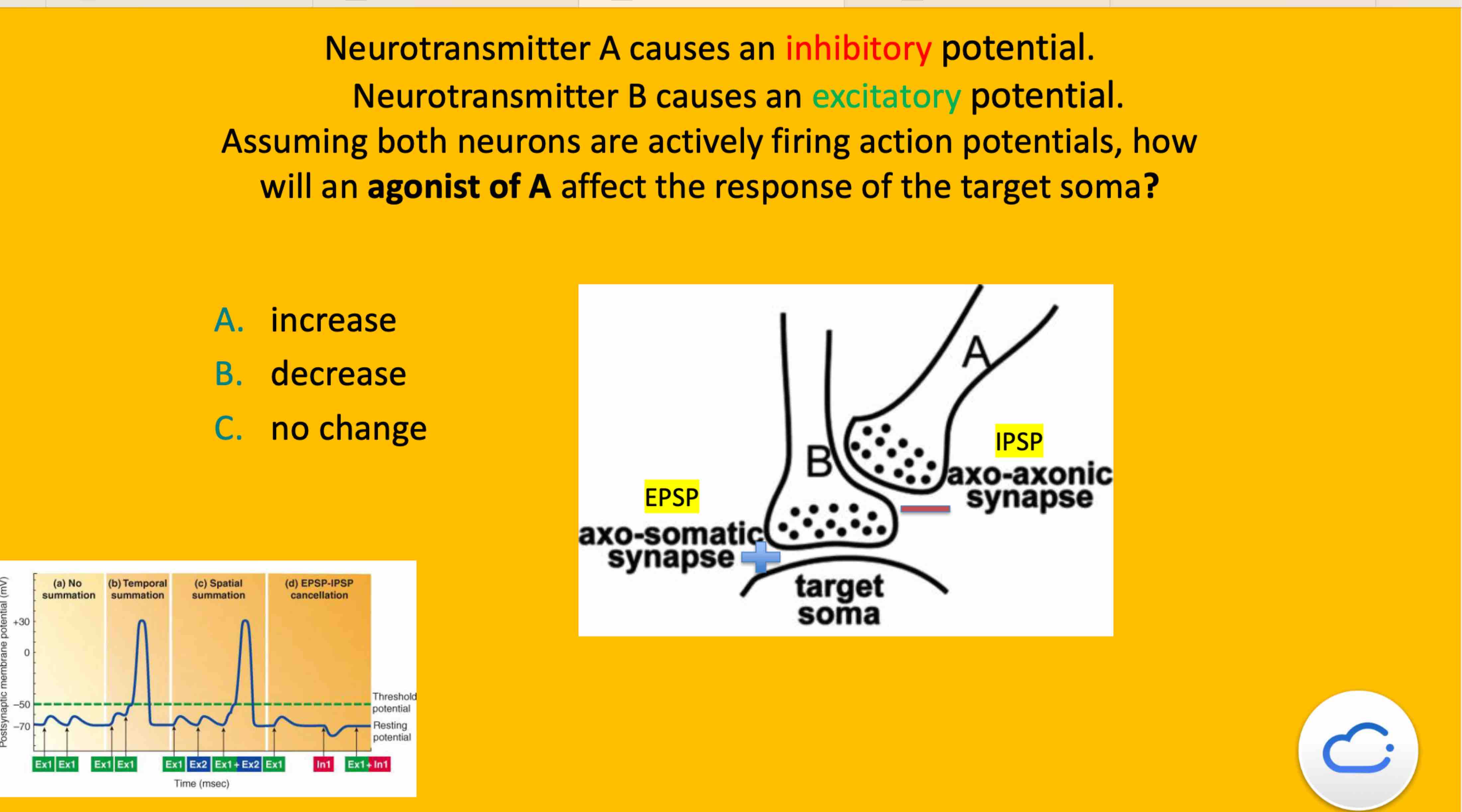 Solved Neurotransmitter A Causes An Inhibitory Chegg