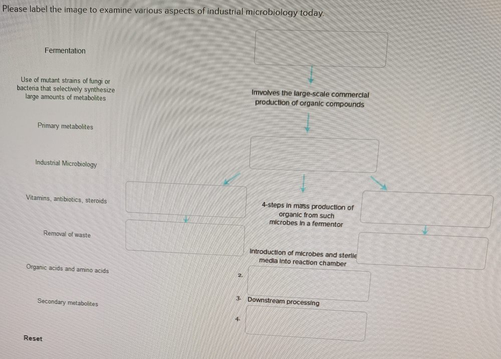 Solved Please Label The Image To Examine Various Aspects Of | Chegg.com