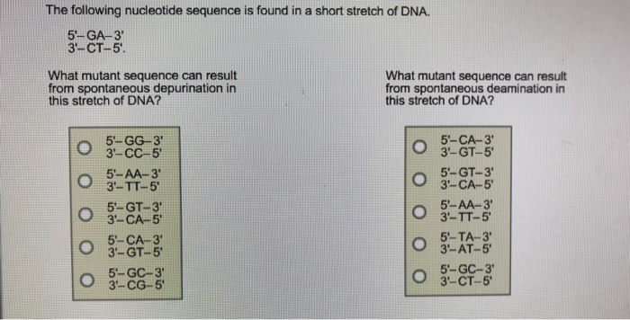 Solved The following nucleotide sequence is found in a short | Chegg.com
