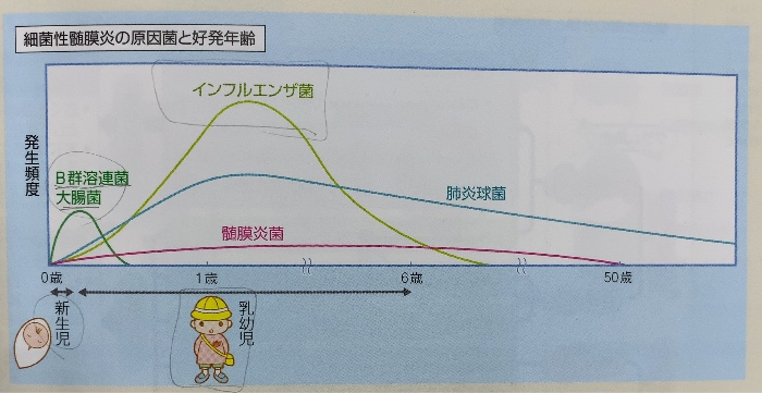 国試 検査総論 Flashcards Chegg Com