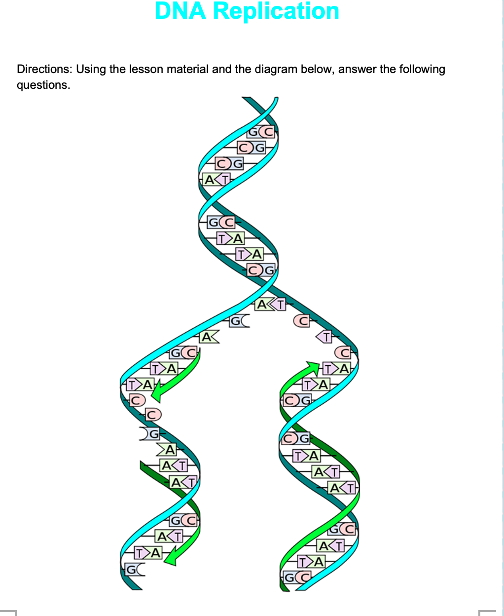 Solved DNA Replication Directions Using the lesson material
