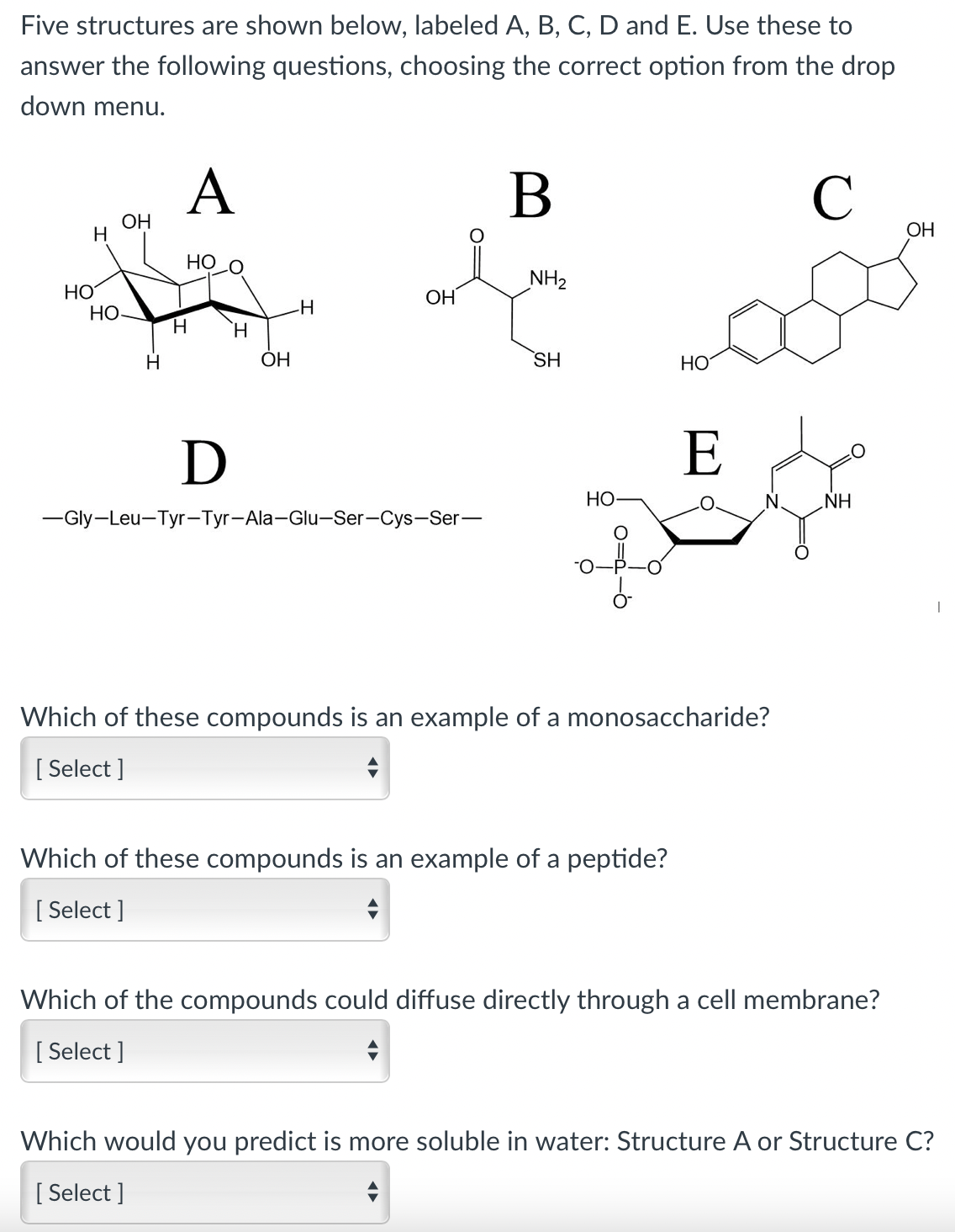 Solved Five Structures Are Shown Below, Labeled A, B, C, D | Chegg.com