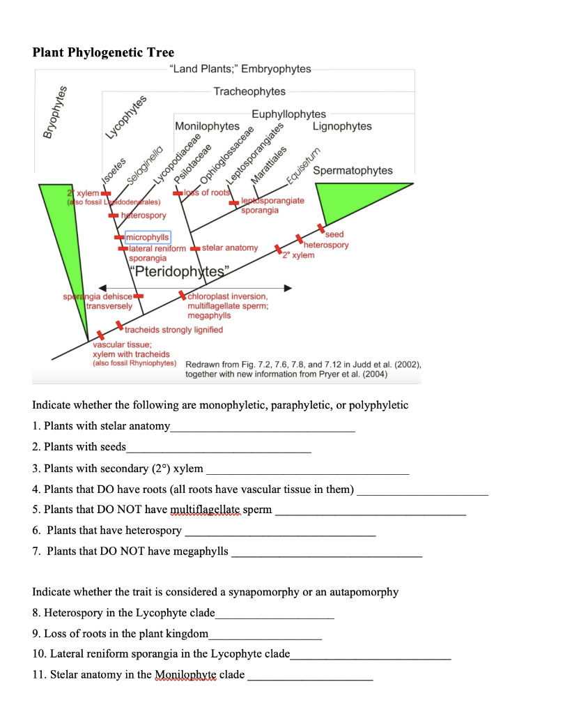 Solved Plant Tree "Land Plants;" Embryophytes