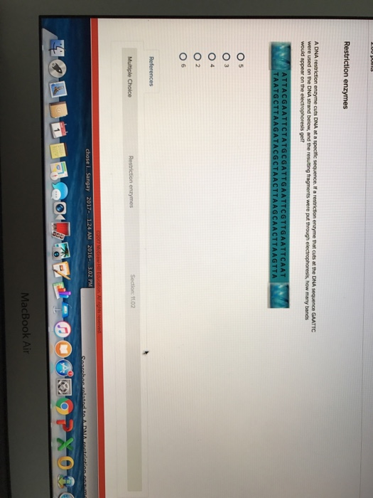 Solved A DNA restriction enzyme cuts DNA at a specific | Chegg.com
