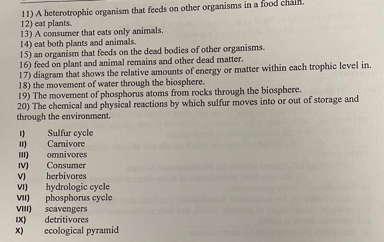 Solved 11) A heterotrophic organism that feeds on other | Chegg.com