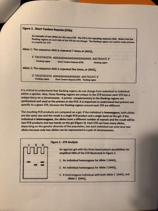 Solved Answer the following questions please, I really | Chegg.com