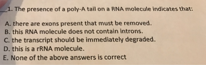 Solved the presence of a poly a tail on a RNA molecule | Chegg.com