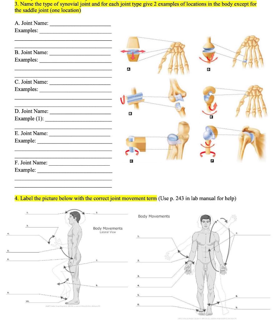 Solved Articulation Chart- From Your Knowledge Of How The | Chegg.com