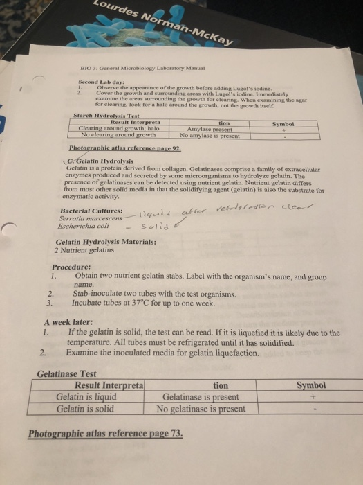 Solved Lourdes NormanMcKay BIO 3 General Microbiology