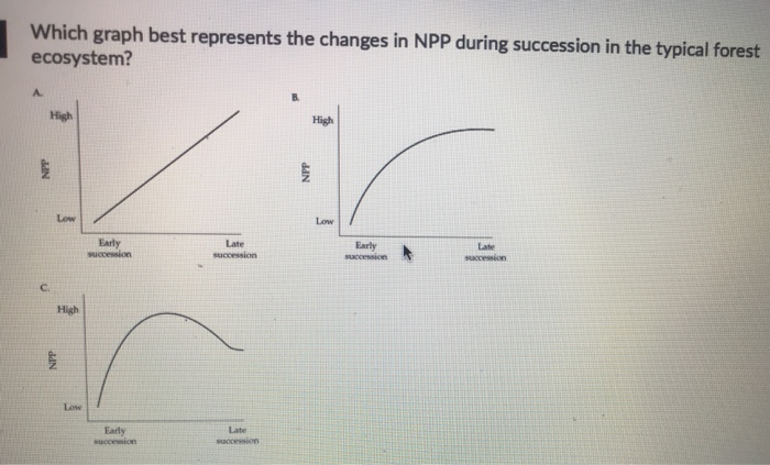Solved Which graph best represents the changes in NPP during | Chegg.com