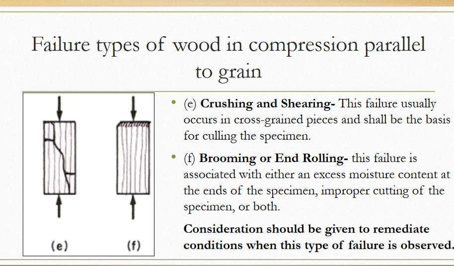 Solved Compression Test Wood specimens "Wood differs from