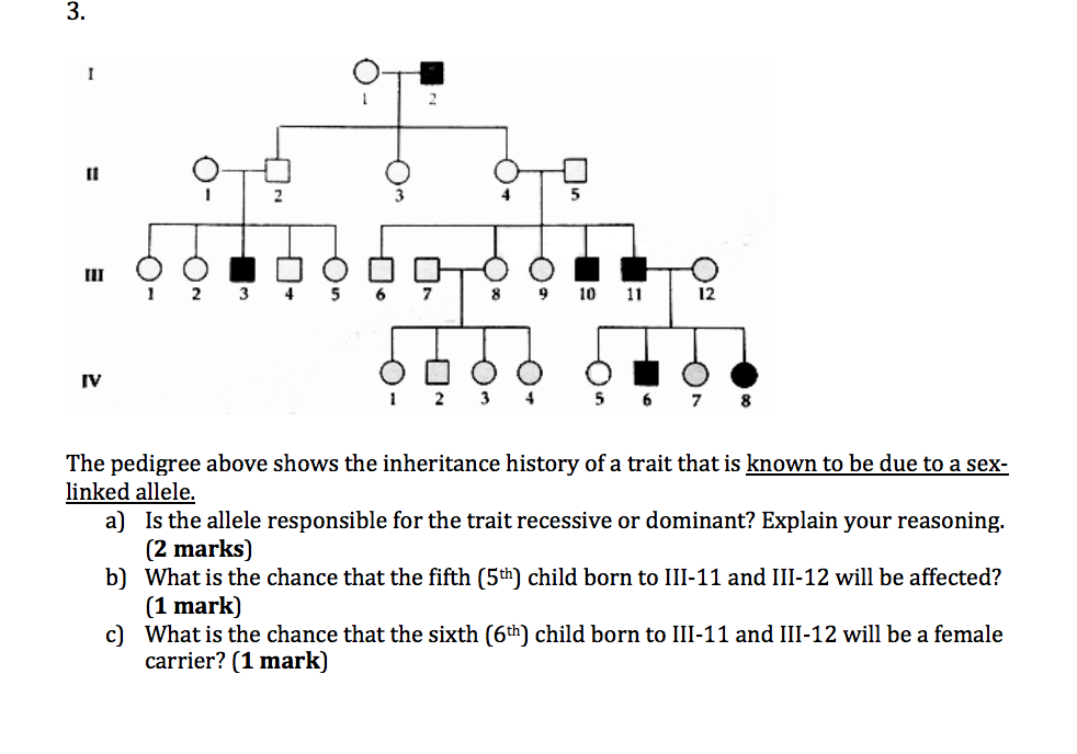 Solved 1 2 3 The Pedigree Above Shows The Inheritance 1701