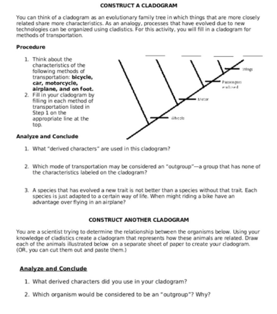 Solved CONSTRUCT A CLADOGRAM You can think of a cladogram as