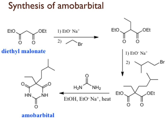 Solved Below is the synthesis of amytal (amobarbital). If | Chegg.com