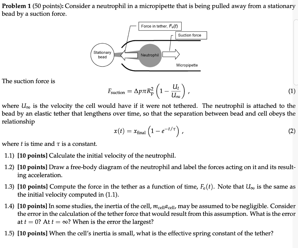 Solved Problem 1 (50 points) Consider a neutrophil in a