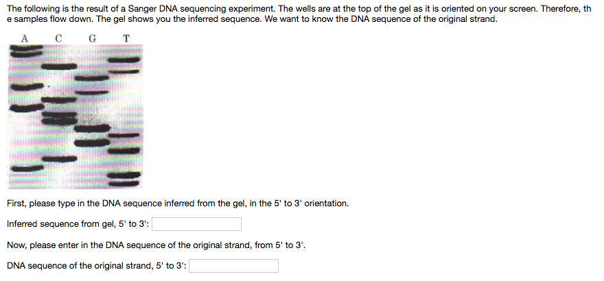 Solved The following is the result of a Sanger DNA | Chegg.com