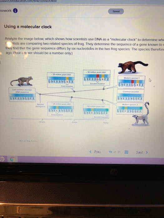 Solved Using a molecular clock nalyze the image below, which