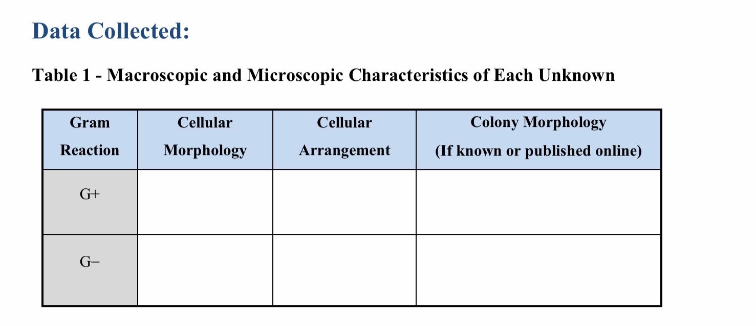 Solved Characteristics of Unknown Bacteria Organism Cellular | Chegg.com