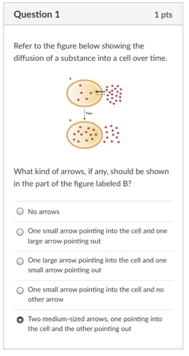 Solved Question1 1 pts Refer to the figure below showing the | Chegg.com