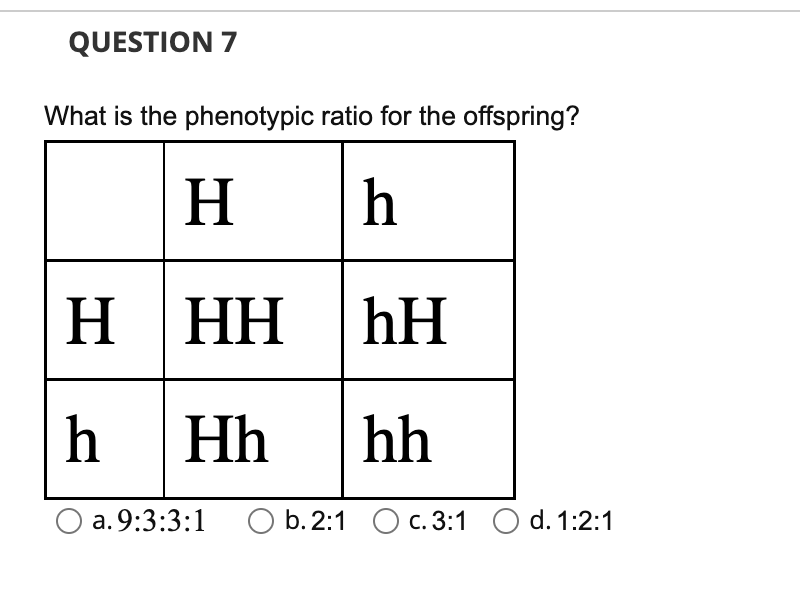 What is the phenotype ratio of HhGg HHGg 