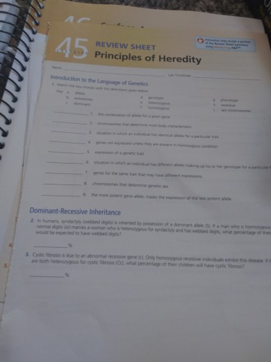 Review Sheet Principles Of Heredity Introduction To Chegg 