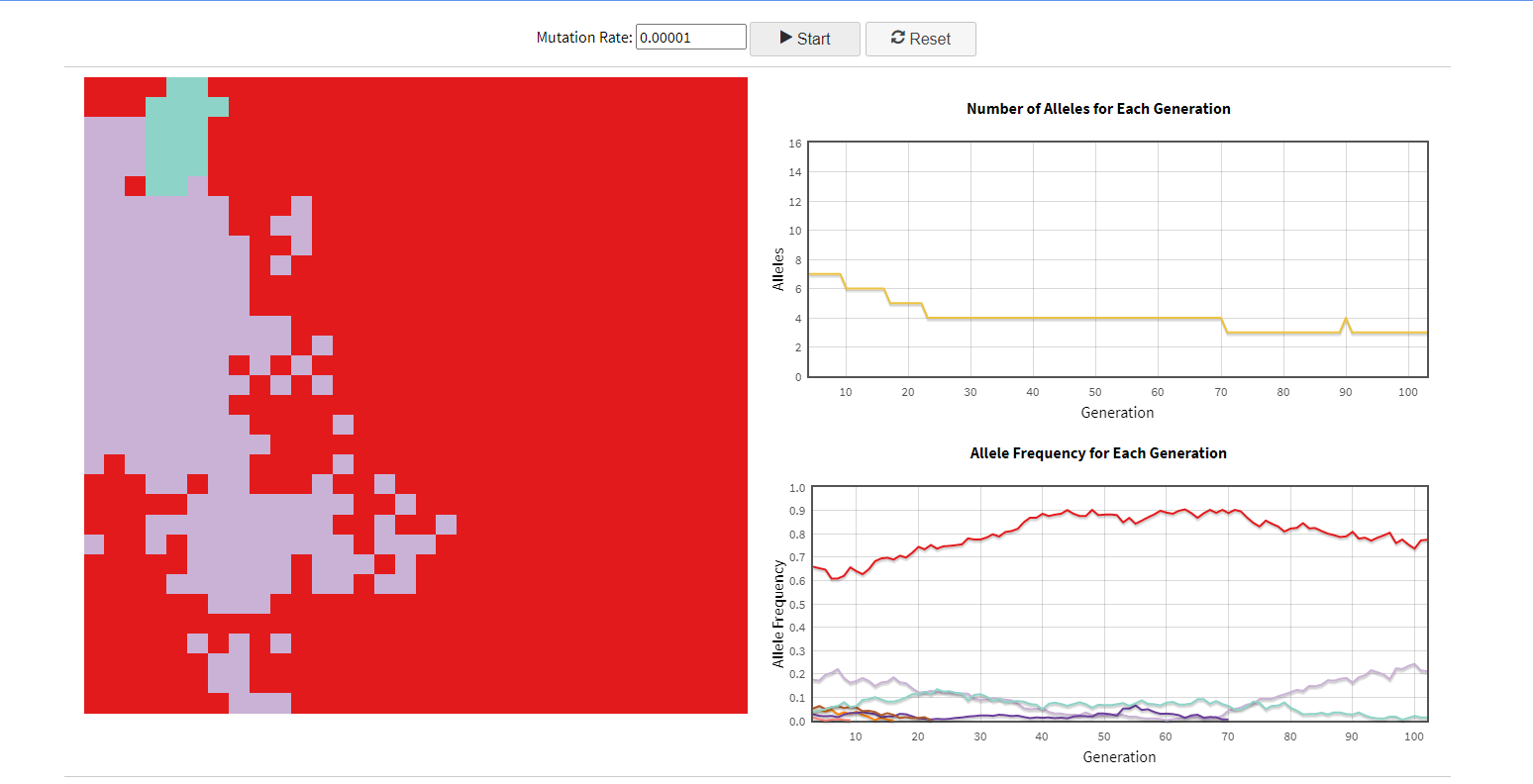 Now, reset the simulation and set mutation rate | Chegg.com